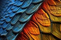 nanoscale surface of a butterfly wing