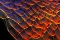 nanoscale view of a butterfly wing surface