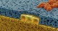 Nanoscale view of a complex porous layered structure Royalty Free Stock Photo