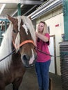 A woman combs a horse's mane at the stable in the Ethno-cultural tourist complex 