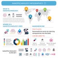 Nanotechnology applications infographic report poster layout