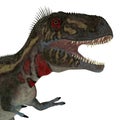 Nanotyrannus Dinosaur Head Royalty Free Stock Photo