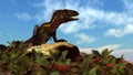 Nanotyrannus dinosaur resting - 3D render Royalty Free Stock Photo