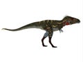 Nanotyrannus Dinosaur Side Profile Royalty Free Stock Photo