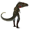 Nanotyrannus Dinosaur Tail
