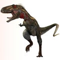 Nanotyrannus Profile