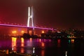 Nanpu Suspension Bridge at night in Shanghai