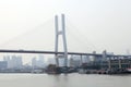 Nanpu Suspension Bridge in Shanghai,China