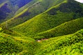 Nanshan Zhuhai ecological tourism area