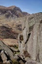 Nant Ffrancon tree and rock face