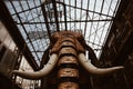 Nantes, France November 2018: Le Grand Elephant. The Grand Elephant. A gigantic mechanical elephant