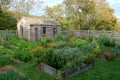 Nantucket, MA: Coffin House Colonial Garden Royalty Free Stock Photo
