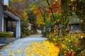 Nanzoin Temple in Fukuoka is home to a huge statue of the Reclining Buddha (Nehanzo) which claims to