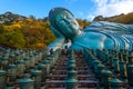 Nanzoin Temple in Fukuoka is home to a huge statue of the Reclining Buddha (Nehanzo) which claims to