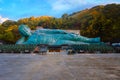 Nanzoin Temple in Fukuoka is home to a huge statue of the Reclining Buddha (Nehanzo) which claims to