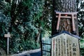 Nanzoin Temple, Fukuoka, Japan