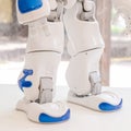 Nao robot at Wired Next Fest 2019 in Milan, Italy Royalty Free Stock Photo