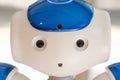 Nao robot at Wired Next Fest 2019 in Milan, Italy Royalty Free Stock Photo