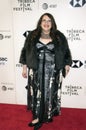 Naomi Alderman arrives for the premiere of `Disobedience` at the 2018 Tribeca Film Festival Royalty Free Stock Photo