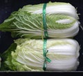 Napa Cabbage