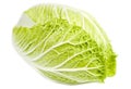 Napa Cabbage