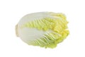 Napa Cabbage