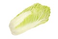 Napa cabbage, Chinese cabbage, from above