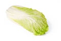 Napa cabbage, Chinese cabbage, front view over white