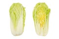 Napa cabbage, whole and half, Chinese cabbage, top view