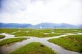 Napa, lake and grass