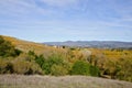 Napa Valley in Autumn Royalty Free Stock Photo