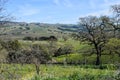 Napa Valley California Royalty Free Stock Photo