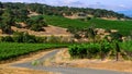 Napa Valley House on Vineyard, California Royalty Free Stock Photo