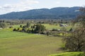Napa Valley vineyard in Spring Royalty Free Stock Photo