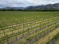 Napa Valley vineyard under stormy skies, from the air