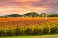 Napa Valley Vineyards Autumn Sunset Royalty Free Stock Photo