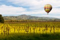 Napa Valley Vineyards and Mustard in Spring Royalty Free Stock Photo