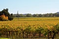 Napa Valley Vineyards Royalty Free Stock Photo