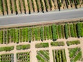 Napa Valley winery garden, from the air Royalty Free Stock Photo