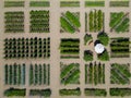 Napa Valley winery garden, from the air Royalty Free Stock Photo