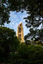 The Millenium Carillon Structure in Naperville, IL Royalty Free Stock Photo