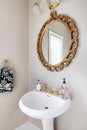 A small bathroom with a gold mirror and lights off. Royalty Free Stock Photo