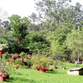 Napier Museum Gardens in India