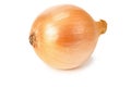 Napiform onion isolated on a white background Royalty Free Stock Photo