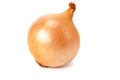 Napiform onion isolated on a white background Royalty Free Stock Photo