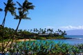 Napili Beach Maui Hawaii