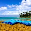 Napili Sandy Beach Maui Tropical Island Royalty Free Stock Photo