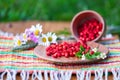 On a napkin stands wooden bowl and a cup with wild strawberries.