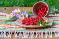 On a napkin stands wooden bowl and a cup with wild strawberries.