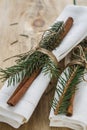 Napkins for table setting for Christmas Royalty Free Stock Photo